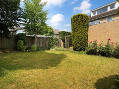 31-1 tuin.jpg