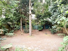 31-1 tuin.jpg