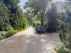 36 straatbeeld.jpg
