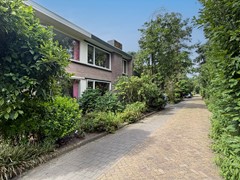 37 straatbeeld.jpg
