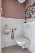 Zebrakever265692vjSonenBreugel-06.jpg