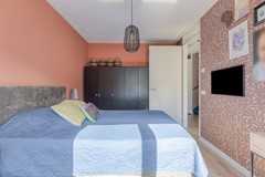 Zebrakever265692vjSonenBreugel-19.jpg