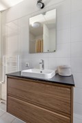 Zebrakever265692vjSonenBreugel-21.jpg