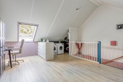 Zebrakever265692vjSonenBreugel-26.jpg