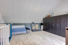 Zebrakever265692vjSonenBreugel-27.jpg