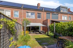 Zebrakever265692vjSonenBreugel-33.jpg
