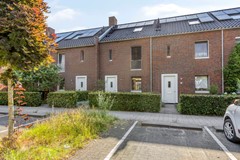 Zebrakever265692vjSonenBreugel-03.jpg