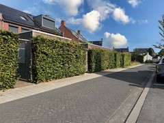 IMG_5158-bewerkt.jpg
