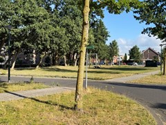 speelweide.jpg