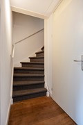 Satijnvlinderlaan285691RTSonenBreugel_24.jpg