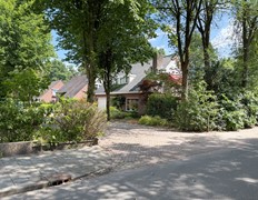 IMG_5326.jpg