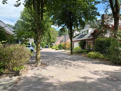 IMG_5327.jpg