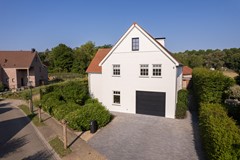 DJI_0375.jpg