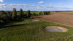 Mosseldijk Nieuwvliet 7.jpg