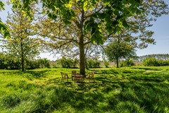 Krabbegatweg 2 Biervliet-76.jpg