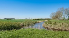boomgaardweg2_LR-29.jpg
