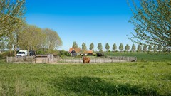 boomgaardweg2_LR-30.jpg