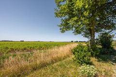 Ringdijk Zuid 8 Cadzand-58.jpg
