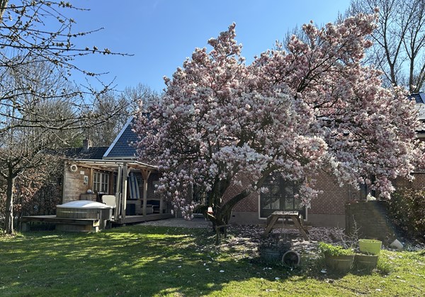 Medium property photo - Achterkade 15, 4133 RB Vianen