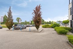 tZwarteLand293925CKScherpenzeel-04.jpg