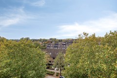 Adamsdreef1796716mlEde-50.jpg