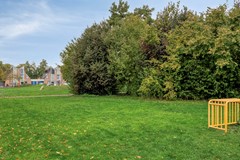 Adamsdreef1796716mlEde-68.jpg