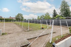 6241ET12-36.jpg