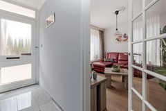 6231BE68-05.jpg