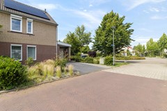 6241JN2-37.jpg