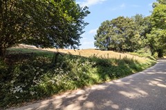 6235NC12-34.JPG