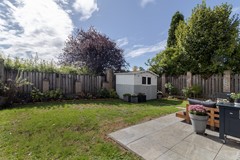 6241CB3-33.jpg