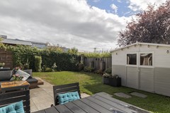 6241CB3-36.jpg