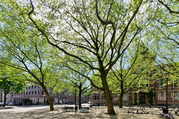 Medium property photo - Vrolikstraat 198-1, 1092 TS Amsterdam