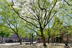 Eikenplein_1.jpg