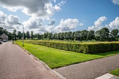 Melisse - 14 - Rutten-3.jpg
