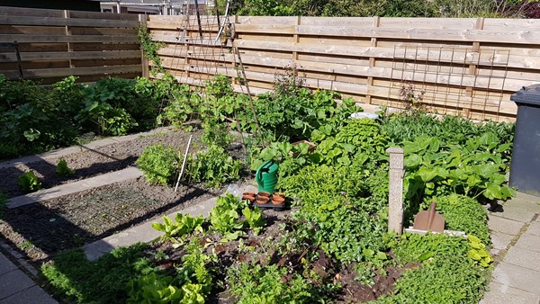 Medium property photo - Grachtwal 29, 8316 BV Marknesse