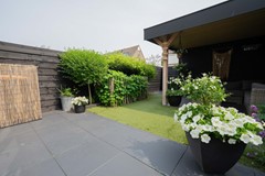 2025 - 015 F40.jpg