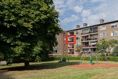 2025 - 027 F27 main met lijn.jpg