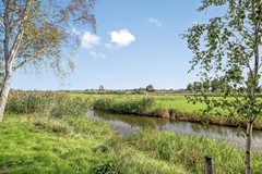 Boompjesven1151963SLHeemskerkNL-47.jpg