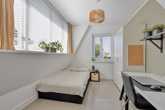 Haverkamplaan401911LKUitgeestNL-50.jpg