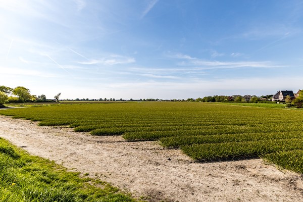 Medium property photo - Veenenburgerlaan 11, 2182 DA Hillegom