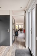 Zeggegors503271XLMijnsheerenland-07.jpg