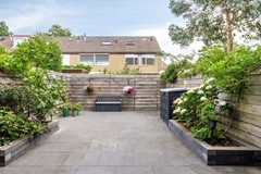 Zeggegors503271XLMijnsheerenland-18.jpg