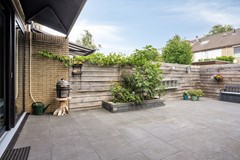 Zeggegors503271XLMijnsheerenland-19.jpg