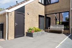 Zeggegors503271XLMijnsheerenland-03.jpg