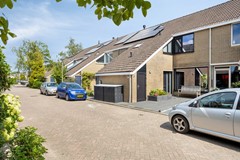 Zeggegors503271XLMijnsheerenland-04.jpg