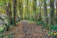 Sint Josephstraat 62, 4702 CX Roosendaal - SintJosephstraat624702CXRoosendaal-41.jpg