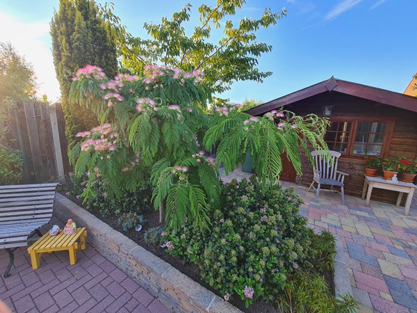 Foto - Verkocht onder voorbehoud: Ruimte, comfort en een heerlijke tuin! Welkom aan ’t Magesijn 76 in Klundert!
