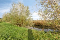 Molendijk 65, 4671 BN Dinteloord - Molendijk654671BNDinteloord-36.jpg