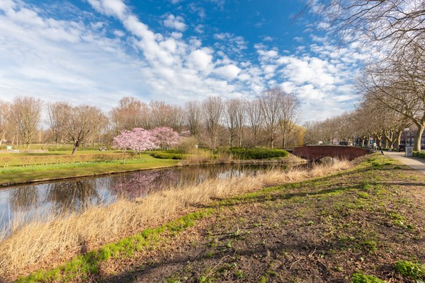 Medium property photo - Hoofdweg 704, 1055 AB Amsterdam